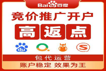 推广竞价策略优化：借鉴经典案例提升效果